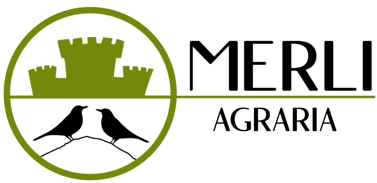 Merli agraria