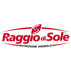 raggiodisole-logo